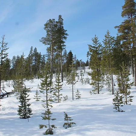 Dom wakacyjny Lumi- The White Blue Wilderness *