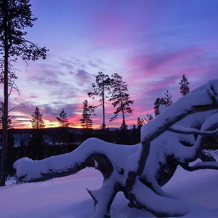 Lumi- The White Blue Wilderness *